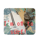 キジトラねこ「つな」（個別スタンプ：6）
