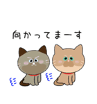 毎日使えて便利！〜敬語の猫ちゃん〜（個別スタンプ：19）