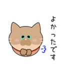 毎日使えて便利！〜敬語の猫ちゃん〜（個別スタンプ：21）