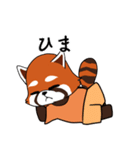 レッサーパンダの大漁（個別スタンプ：8）