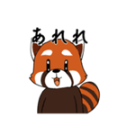 レッサーパンダの大漁（個別スタンプ：13）