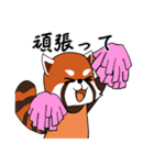 レッサーパンダの大漁（個別スタンプ：22）