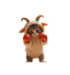 Cute Cats かわいい猫が集結【文字なし】（個別スタンプ：28）