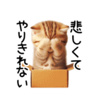 ずっと使える♥ネガティブねこスタンプ③（個別スタンプ：3）