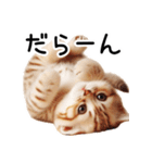 ずっと使える♥ネガティブねこスタンプ③（個別スタンプ：4）