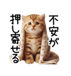 ずっと使える♥ネガティブねこスタンプ③（個別スタンプ：7）