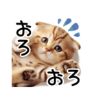 ずっと使える♥ネガティブねこスタンプ③（個別スタンプ：13）
