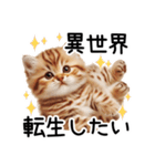 ずっと使える♥ネガティブねこスタンプ③（個別スタンプ：15）
