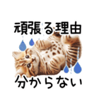 ずっと使える♥ネガティブねこスタンプ③（個別スタンプ：16）