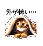 ずっと使える♥ネガティブねこスタンプ③（個別スタンプ：19）