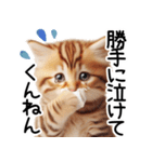 ずっと使える♥ネガティブねこスタンプ③（個別スタンプ：20）