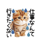 ずっと使える♥ネガティブねこスタンプ③（個別スタンプ：21）