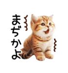 ずっと使える♥ネガティブねこスタンプ③（個別スタンプ：23）