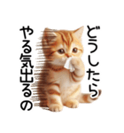ずっと使える♥ネガティブねこスタンプ③（個別スタンプ：24）