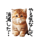 ずっと使える♥ネガティブねこスタンプ③（個別スタンプ：26）