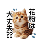 ずっと使える♥ネガティブねこスタンプ③（個別スタンプ：27）
