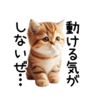ずっと使える♥ネガティブねこスタンプ③（個別スタンプ：28）