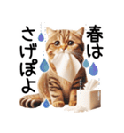 ずっと使える♥ネガティブねこスタンプ③（個別スタンプ：29）