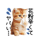ずっと使える♥ネガティブねこスタンプ③（個別スタンプ：30）