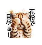 ずっと使える♥ネガティブねこスタンプ③（個別スタンプ：31）
