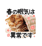 ずっと使える♥ネガティブねこスタンプ③（個別スタンプ：32）