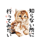 ずっと使える♥ネガティブねこスタンプ③（個別スタンプ：34）