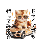 ずっと使える♥ネガティブねこスタンプ③（個別スタンプ：35）