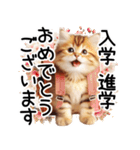 ずっと使える♥ネガティブねこスタンプ③（個別スタンプ：40）