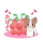 ちびパピヨン16【春】（個別スタンプ：1）