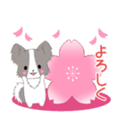 ちびパピヨン16【春】（個別スタンプ：4）