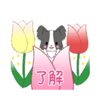 ちびパピヨン16【春】（個別スタンプ：5）