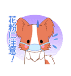 ちびパピヨン16【春】（個別スタンプ：11）