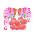 ちびパピヨン16【春】（個別スタンプ：13）