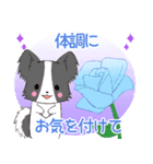 ちびパピヨン16【春】（個別スタンプ：14）