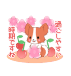 ちびパピヨン16【春】（個別スタンプ：15）