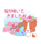 ちびパピヨン16【春】（個別スタンプ：19）