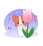 ちびパピヨン16【春】（個別スタンプ：21）