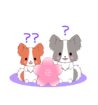 ちびパピヨン16【春】（個別スタンプ：24）