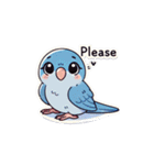 英語でサザナミインコ（個別スタンプ：28）