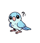 英語でサザナミインコ（個別スタンプ：29）