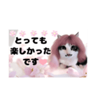 春♥猫♥文字大きめ♥日常♥敬語等♥（個別スタンプ：19）