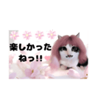 春♥猫♥文字大きめ♥日常♥敬語等♥（個別スタンプ：20）