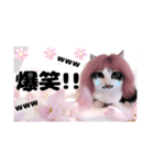 春♥猫♥文字大きめ♥日常♥敬語等♥（個別スタンプ：22）