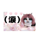 春♥猫♥文字大きめ♥日常♥敬語等♥（個別スタンプ：23）