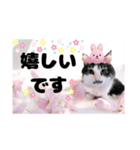 春♥猫♥文字大きめ♥日常♥敬語等♥（個別スタンプ：36）
