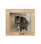 さくらのできごと（個別スタンプ：1）