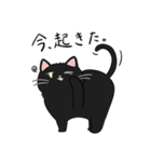 いろんな猫さん #3ヤマトさん（個別スタンプ：1）