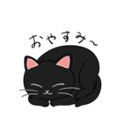 いろんな猫さん #3ヤマトさん（個別スタンプ：2）