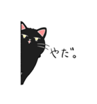 いろんな猫さん #3ヤマトさん（個別スタンプ：10）