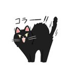 いろんな猫さん #3ヤマトさん（個別スタンプ：14）